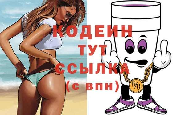 гашик Горняк